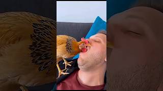 so funny 😅🤣