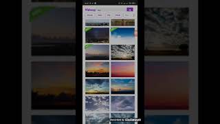 Top 2 Websites For Free Download S And Images shorts pixabay videezy