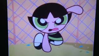 The Powerpuff Girls Ercup Vs Princess Morbucks