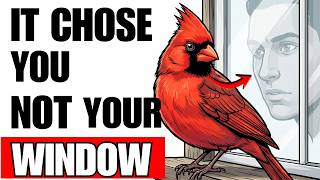 What It Means When a Cardinal Keeps Coming to Your Window — You've Never Known This