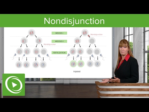 Видео: Nondisjunction нь ямар эмгэгээс үүдэлтэй вэ?