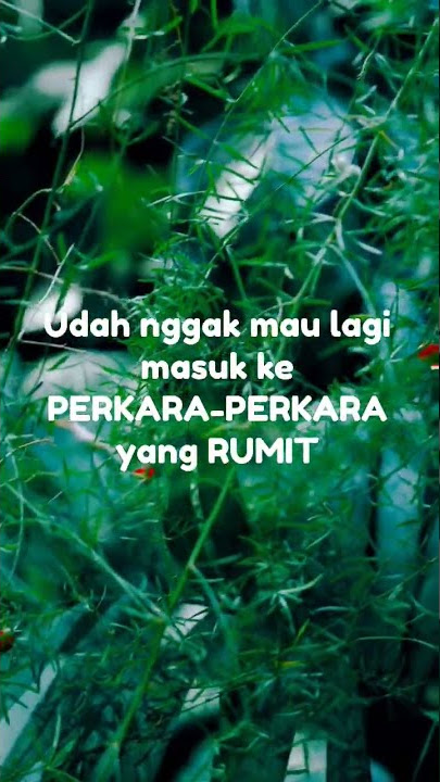 Ketenangan #shorts #storywa #ketenangan #ketenanganhati #ketenanganpikiran  #youtubeshorts