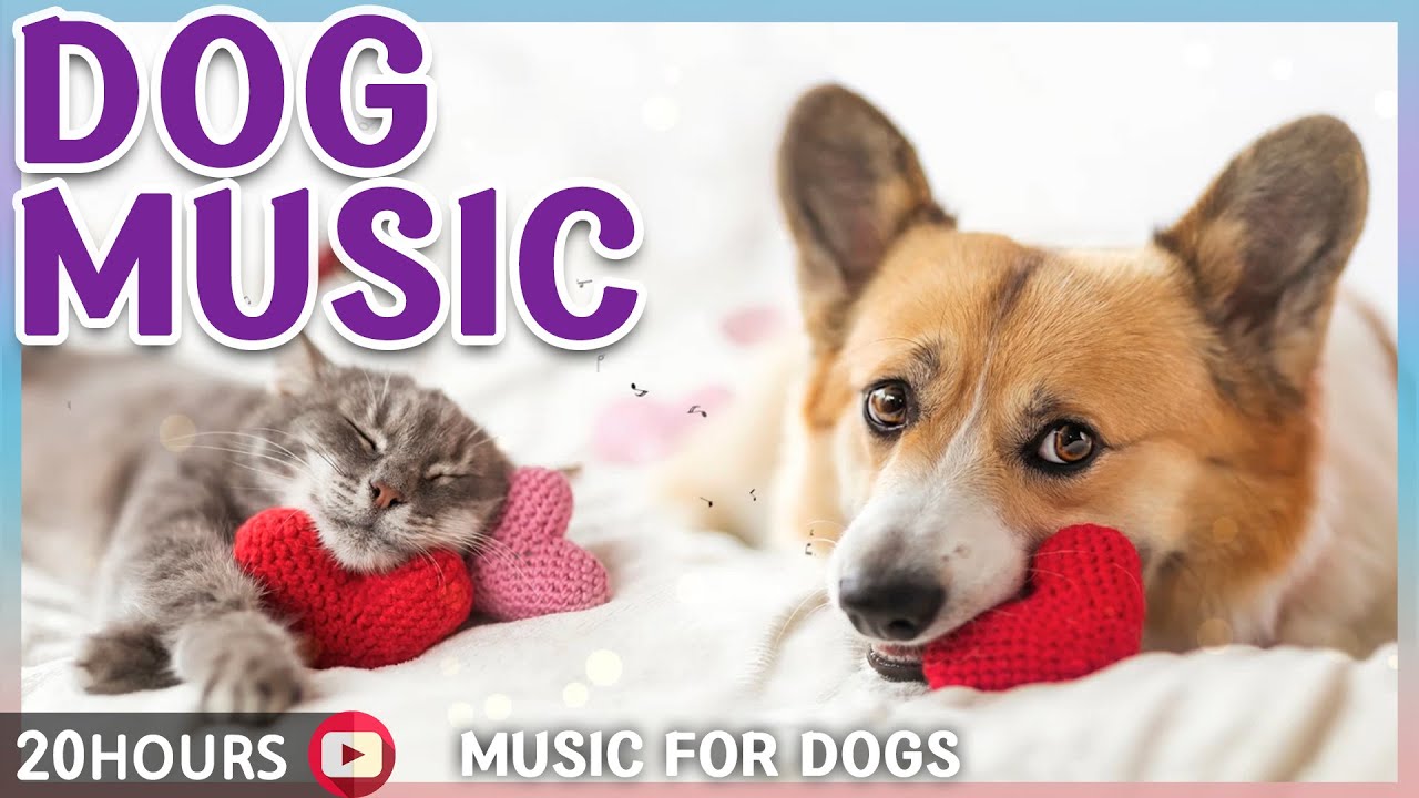 Watch 외출시 불안한 강아지가 좋아하는 음악🦮🎵강아지 수면음악|분리불안치료, 심신안정음악, 스트레스해소 음악 20시간 연속듣기 on YouTube Watch 외출시 불안한 강아지가 좋아하는 음악🦮🎵강아지 수면음악|분리불안치료, 심신안정음악, 스트레스해소 음악 20시간 연속듣기 on YouTube