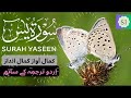 Surah yasin  yaseen with urdu translation  trending tilawatquran youtubemuhammadali