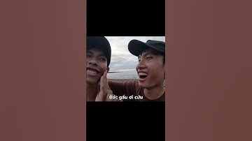 XÉ BẢNG TÊN TRÊN KÊNH TRẦN VY VY KIỂU #tranvyvy