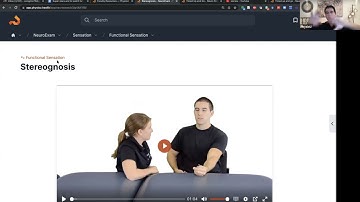 NeuroExam & Task Analysis