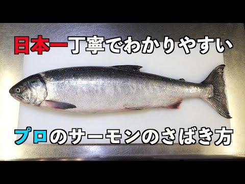 意外と知らないプロのコツ【サーモン】さばき方