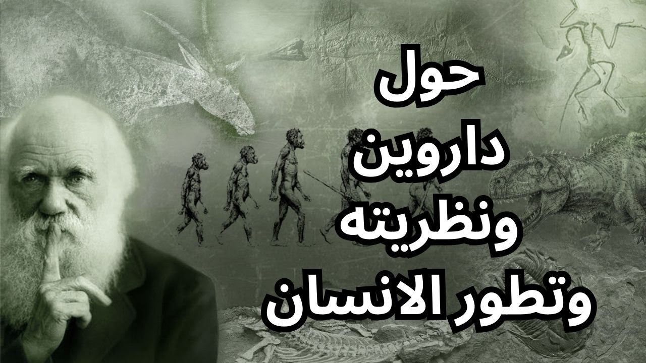 حول تطور الانسان