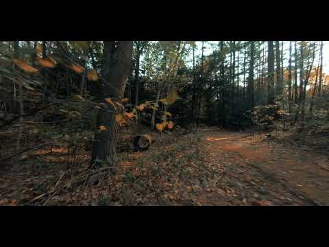 FPV Rewind