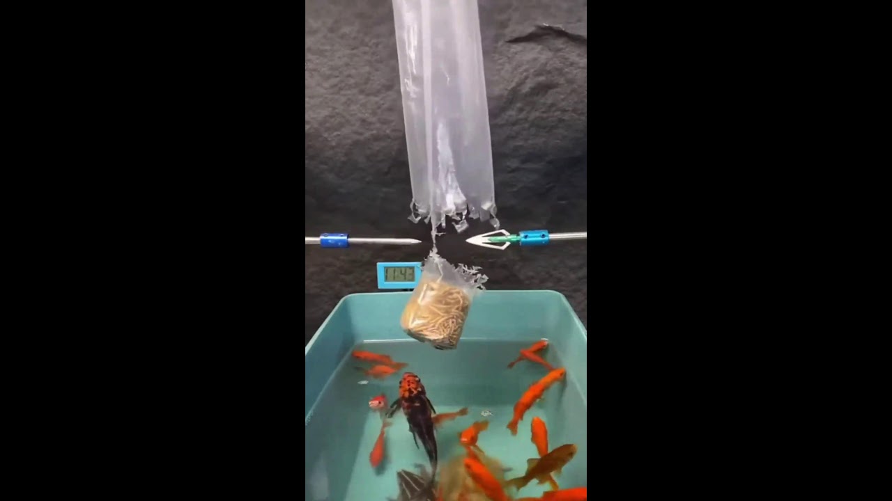 СТРИМ ОНЛАЙН ШОРТС ИГРАЕМ