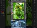 How to Change an Image Color in Photoshop