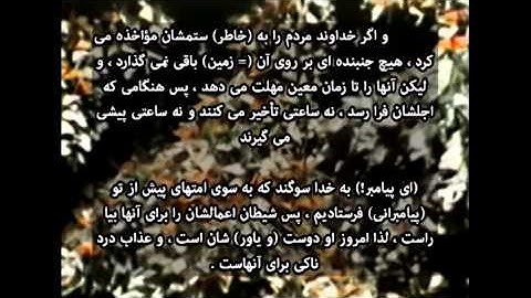 Sura Nahl #16 with Farsi Translation سورة النحل با ترجمه فارسی