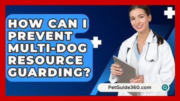 How Can I Prevent Multi-dog Resource Guarding? - PetGuide360.com