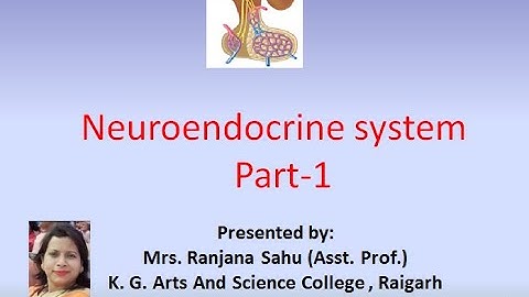 Neuroendocrine system part 1 by Asst  Prof  Ranjana Sahu video lecture
