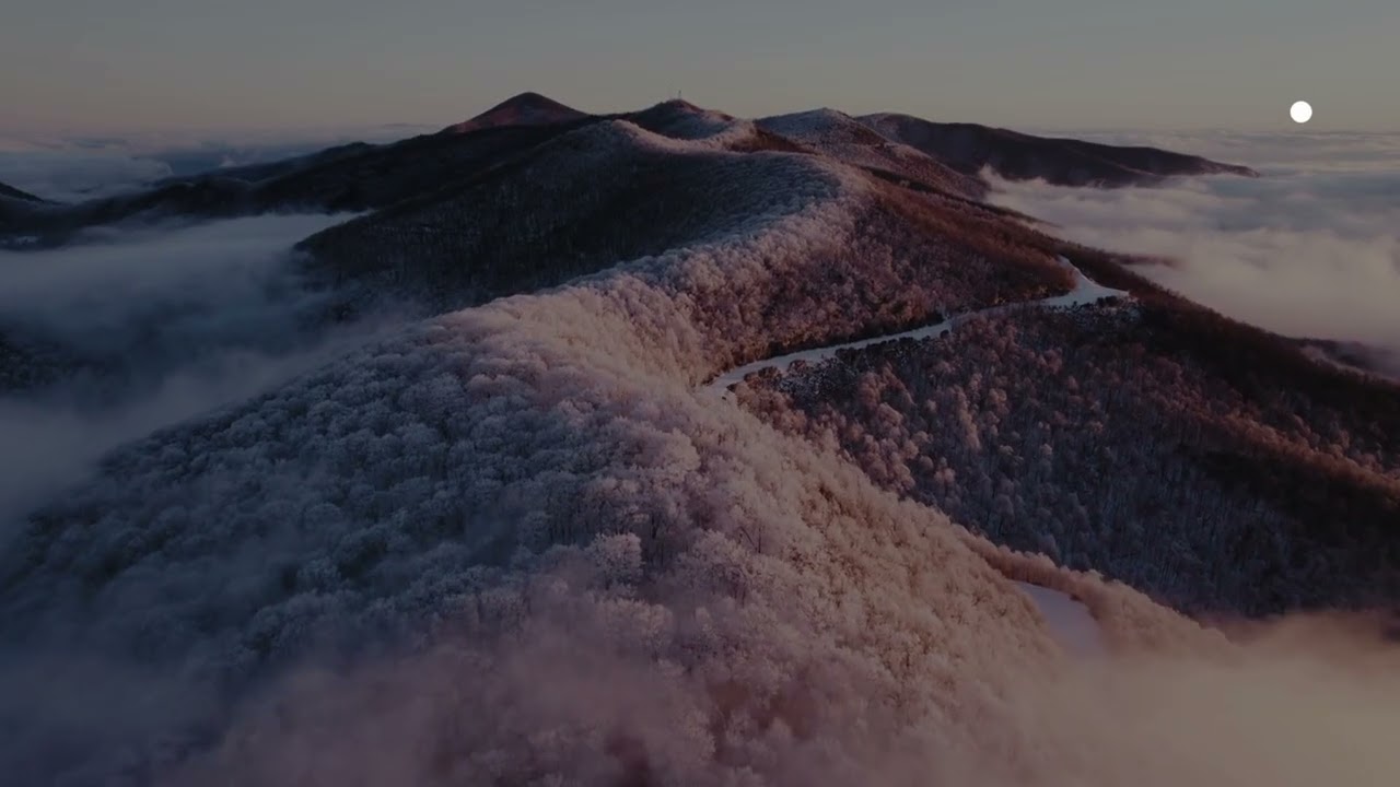 2026 music - Let It Fade