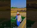 New viral video 📸📷📸📷 #islamicstoriesinurduandhindi video trending headlight post.......