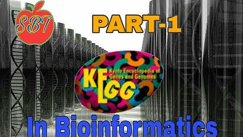 ||Basic concept of KEGG||