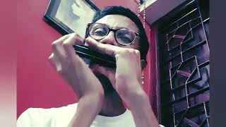 Ja Re Ude Ja Re Pakhi salil Chowdhury  Lata Mangeshkar  Mouth Organ arindam Sen