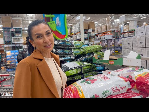 Видео: Не Запланированный Шопинг из Костко Costco | Я Знаю Что Делаю | Эгине | Семейный Влог | Heghineh