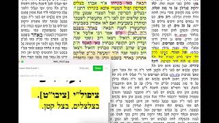 דף יומי מסכת ראש השנה דף יד Daf yomi Rosh Hashana 14 שמואל נבון