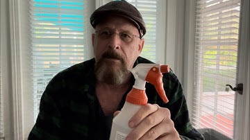 Homemade Flea Spray For Pets That REALLY Works DIY