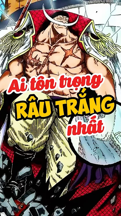 Những ai tôn trọng râu trắng nhất? #anime #onepiece #luffy #xemanime #tomtatanime #rautrang