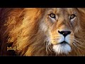 لو كان رزقك نهبا سلمان النجار