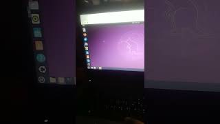 running ubuntu inside Linux mint