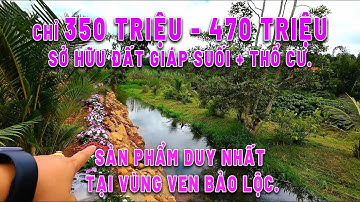 D44. Chỉ 350tr lô đất giáp suối, có thổ cư, xây dựng tự do. LÔ ĐẤT NGỢP NHẤT BẢO LỘC.