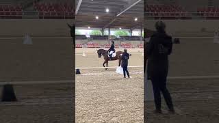 2019 USEF Training Level Test 3