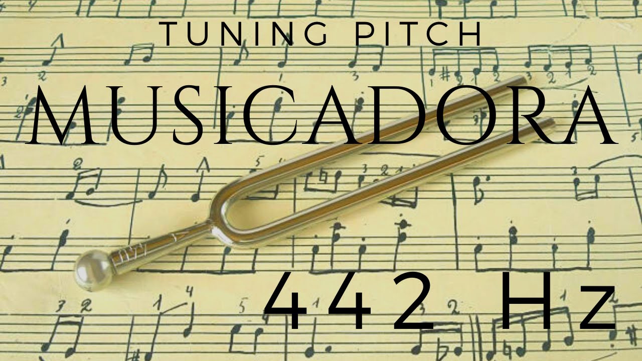 SOUND - 3 MINUTES of DIAPASON - 442 Hz - TUNING NOTE - YouTube