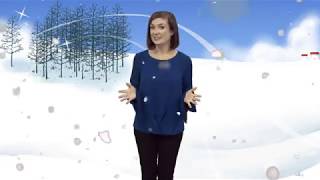 What to do with your Christmas tree after Christmas