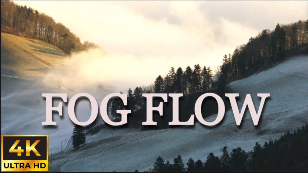 Wave of Fog Ambience 🌫️ | 1 Hour Deep Mist Flow for Focus, Sleep & Relaxation