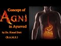 The concept of Agni in ayurved in Hindi #ayurveda #bams #agni #charak #ayurved