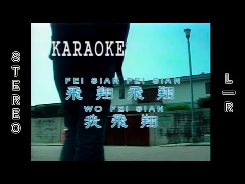 飛翔飛翔我飛翔 - Fei Xiang Fei Xiang Wo Fei Xiang (劉文正 - Liu Wen Zheng / Liu Wen Cheng) | STEREO L/R