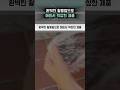 완벽한 활용법으로 해외서 떡상한 제품 #여행꿀템 #파우치 #샤워캡