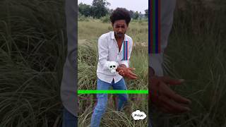 challenge king 👑 / দাদা তুমি সজারু 🐲দেখাও এবং ধরে দেখাও ? #challengekingpriyovaivlog