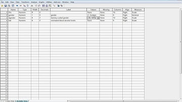 SPSS recode variables demo.avi