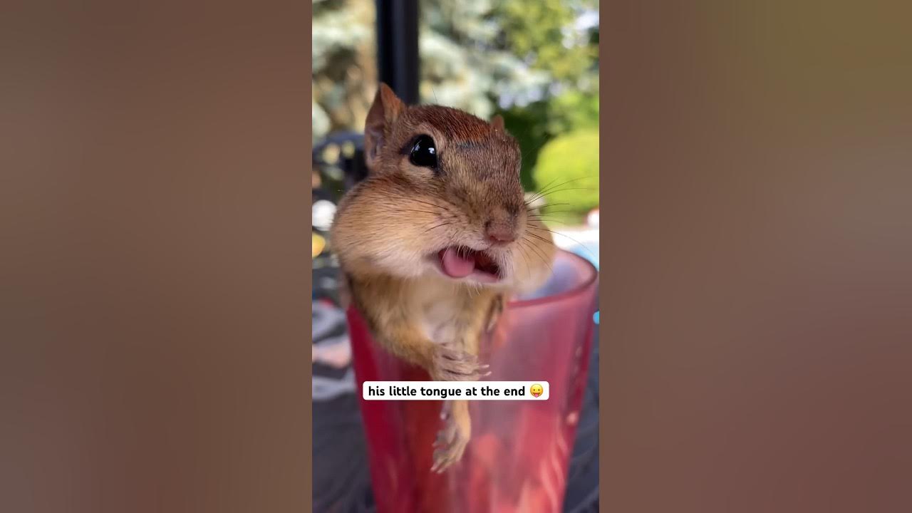 Katta qora dumba raqsi Juda chuqur tomoq porno