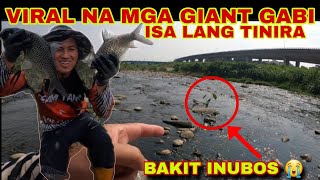 VIRAL NA MGA  GIANT LIGAW NA GABI NAGLAHO BIGLA SA ILOG NA ITO  / PANGUNGUHA NG PAKU FERNS LEAVES by   BRO ALVIN   9,755 views 1 day ago 39 minutes