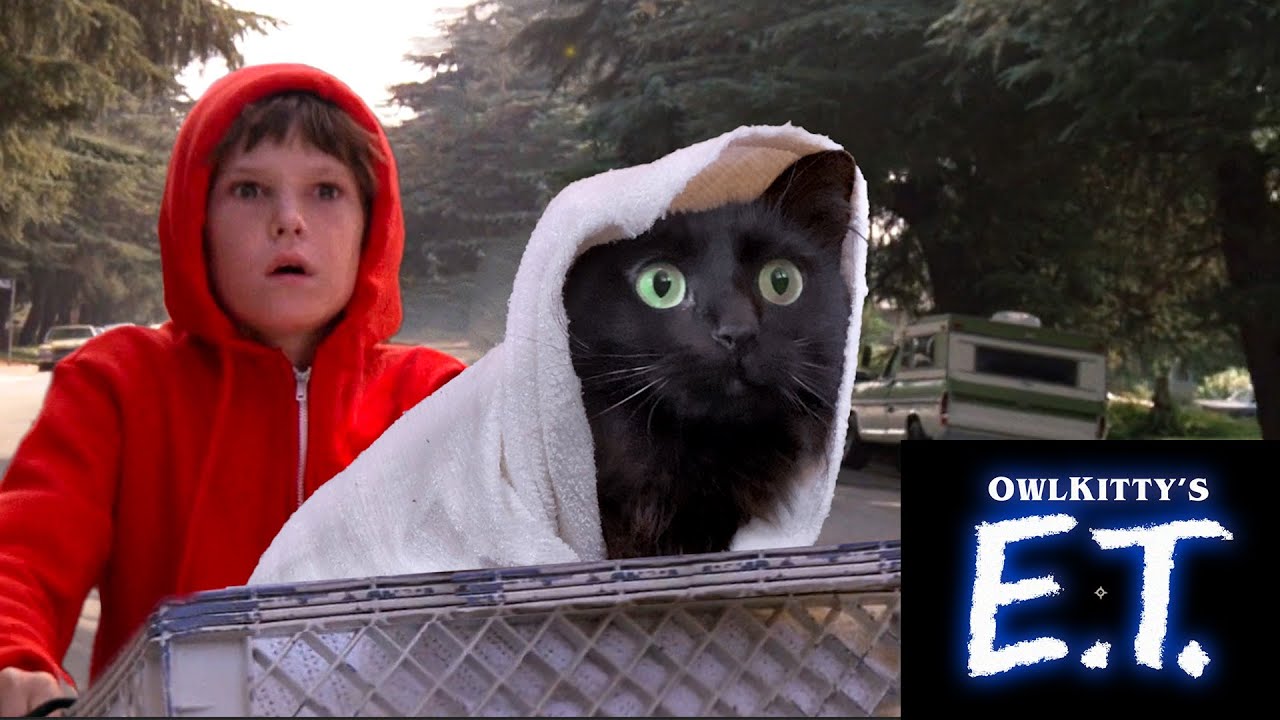 Download When you take your cat to the vet (E.T. + my cat OwlKitty)