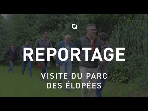 Visite du parc des Elopées