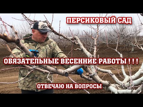 Обязательные весенние работы в персиковом саду !!!