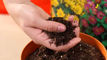 ¿Cuál es la diferencia entre la tierra para macetas Miracle Grow y la tierra para jardín?