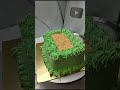 birthday cake cricket match pitch design#birthdaycake#cricketthemecake#trendingshorts#grass#ytshorts