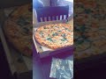 Gift me the 🌞 with 🍕 like this. @SpaceX