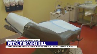 Fetal remains bill