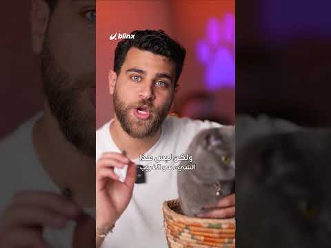 القطة الأكبر عمرا في العالم عاشت 38 عاما ودخلت تصنيف غينيس معقول