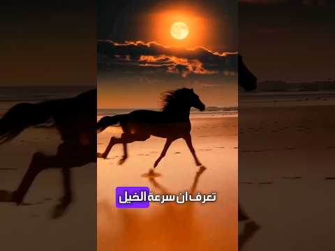 صحابي أسرع من الخيل    معلومات دينيه الصحابة الكرام الإيمان والشجاعة البطولة والفداء