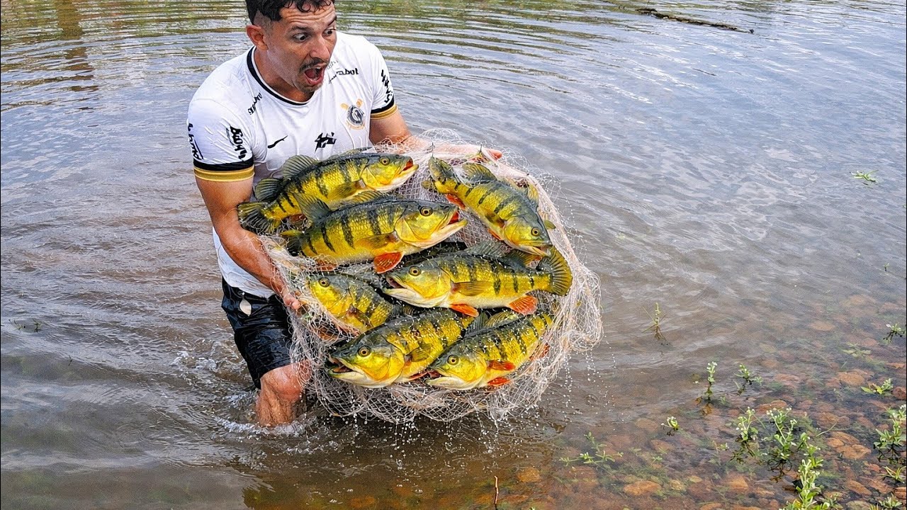 Jogou a Tarrafa no Cardume de Tucunarés e Teve que pedir Reforços